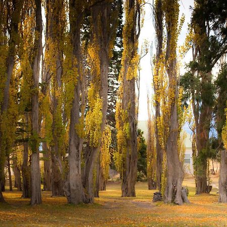 埃斯坦西亚克里斯蒂娜山林小屋 - 卡拉法特 Estancia Cristina 外观 照片